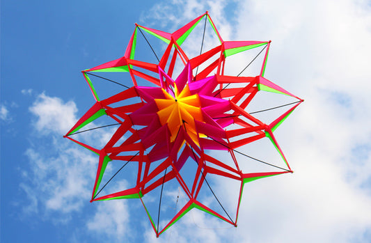 Assemble Lotus Kite (150cm diameter)